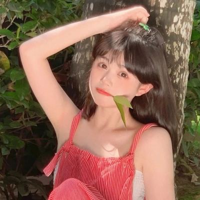 领主冲突果盘版下载